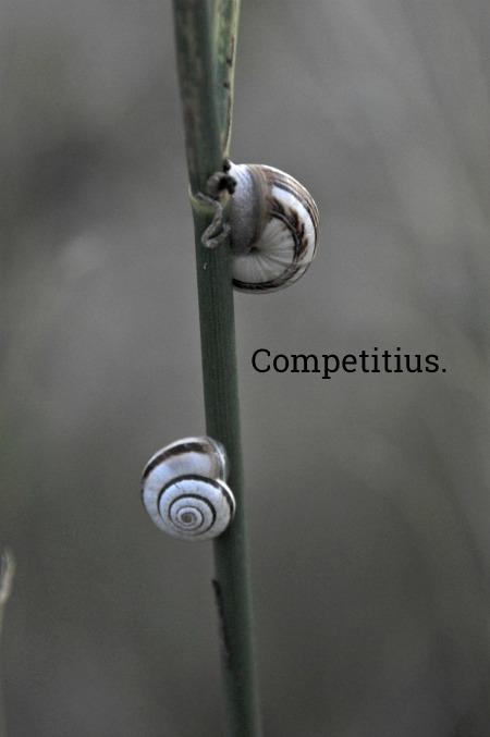 Competitius